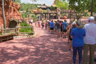 PHOTOS: Splash Mountain Continues Pulling in Long Lines and Dense Crowds at the Magic Kingdom Reopening