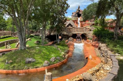 PHOTOS, VIDEO: Splash Mountain Reopens After Temporary Closure at the Magic Kingdom