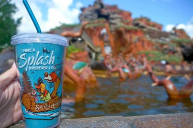 PHOTOS: New Splash Mountain Tumbler Makes a Splash Wherever it Goes at the Magic Kingdom