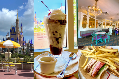 PHOTOS: A Socially Distanced Lunch at The Plaza Restaurant in the Magic Kingdom