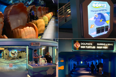 PHOTOS: The Seas with Nemo and Friends Reopens at EPCOT with Frequent Cleanings and New Exhibits