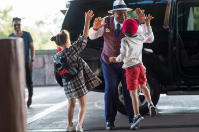 Walt Disney World Now Accepting Reservations for VIP Tours Resuming August 16th