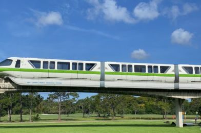 News and Photos! More Monorail Barriers Are Being Installed In Disney World Resorts to Help Safely Isolate Guests