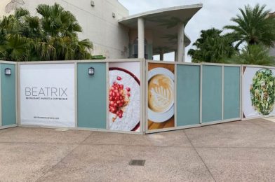 NEWS: Construction on the Upcoming Beatrix Restaurant in Disney Springs Has Been PAUSED