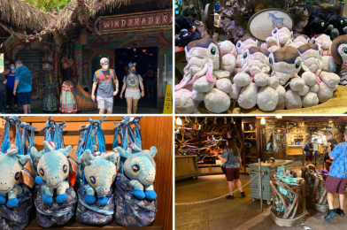 PHOTOS: Windtraders Reopens in Pandora – The World of Avatar With New Merchandise and Social Distancing Markers at Disney’s Animal Kingdom