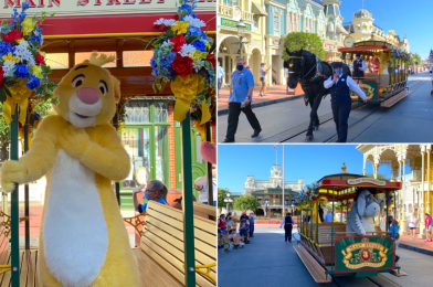 PHOTOS, VIDEO: Piglet, Rabbit, and Eeyore Take the Main Street Trolley in NEW “Fantasyland Friends” Cavalcade at the Magic Kingdom