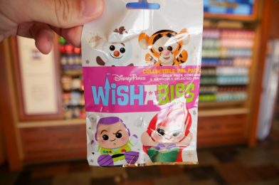 PHOTOS: New Wishables Mystery Pin Set Arrives at Disney Springs