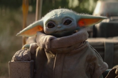 OK. Disney’s Baby Yoda Pup Costume WINS Halloween This Year