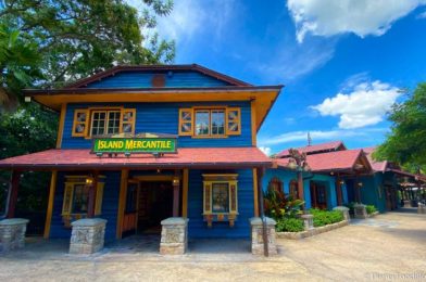 NEWS: Island Mercantile Has Reopened in Animal Kingdom!