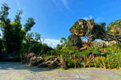 We Spotted Three Totally Pandorable Shirts at Disney’s Animal Kingdom Today!