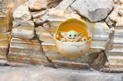 You Have to See What Baby Yoda Merchandise Made Its Way into Disney Springs!