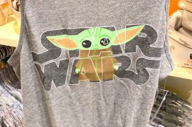 Disney Is Selling a NEW Baby Yoda Spirit Jersey Online — And There’s One for Your Pup Too!