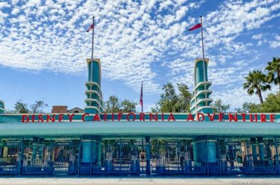 News! Disneyland is Asking Guests With Reservations Between Now and September 5 To Modify or Cancel