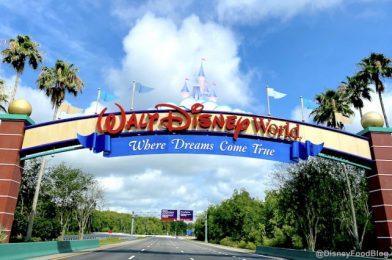 This Is the One Disney World Park You May Want to Avoid on the Weekends!