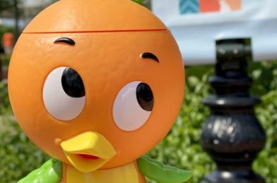 90s Babies Will LOVE This NEW Orange Bird Keychain From Disney World