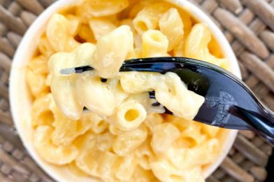 We Spotted a New LIMITED TIME Create Your Own Mac and Cheese at Disney World Today!