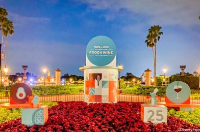 NEWS! The Islands of the Caribbean Food and Wine Festival Booth Is Back Open in EPCOT…But For How Long?