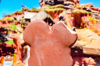 Snack Merch ALERT! There’s a NEW Mickey Premium Ice Cream Bar FAN in Disney World