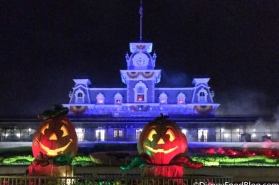 Disney’s NEW Halloween Candy Minnie Ears Are a Total TREAT!