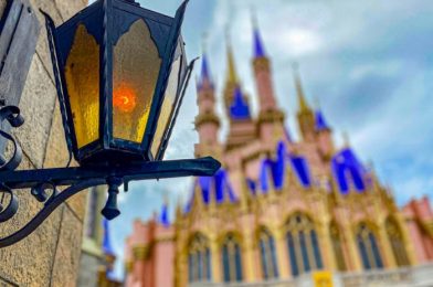 5 Disney World App Updates That We Didn’t Expect, But That Change Everything