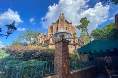 The NEW Haunted Mansion Ears Stopped Us DEAD in Our Tracks in Disney World