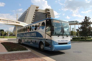 Layoffs Reported at Mears Transportation Group, Including Disney’s Magical Express Drivers