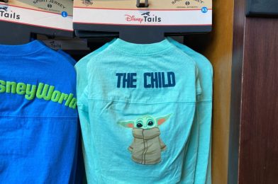 PHOTOS: New Baby Yoda “The Child” Dog Spirit Jersey Arrives at Walt Disney World