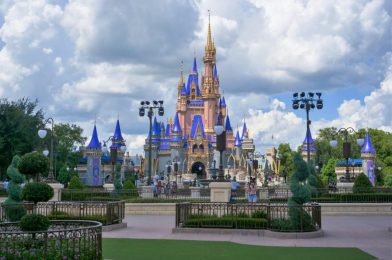 Disney Parks Attendance Still Down 80% Worldwide, According to Deutsche Bank Data