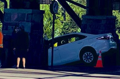 PHOTOS: Guest Drives Down Entrance Steps of Disney’s Wilderness Lodge at Walt Disney World