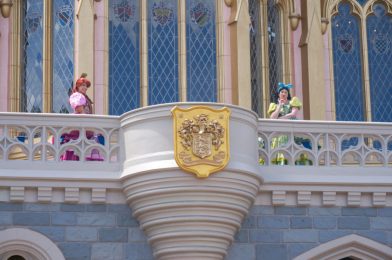 PHOTO REPORT: Magic Kingdom 8/13/20 (Character Cavalcades, New Merchandise, Construction Updates, and More)