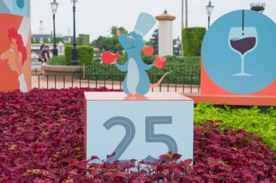 PHOTO REPORT: EPCOT 8/22/20 (Remy’s Hide & Squeak Scavenger Hunt Prizes Added, New Apparel, Pavilion Construction Progress, and More)