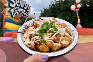 REVIEW: Buffalo Chicken Tots from Green Eggs and Ham in Seuss Landing are Truly Outstanding at Islands of Adventure