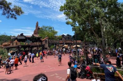 Theme Parks See Busiest Post-Reopening Day on Saturday