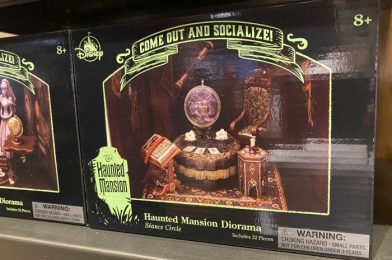 You’ll Want to Hurry Back to Memento Mori Shop for These Haunted Mansion Items