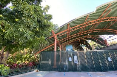 PHOTO REPORT: Disneyland Resort 8/1/20 (Weekend Crowds, Extended Dining Area at Tortilla Jo’s, Disposable Face Masks at Temperature Screenings, and More!)