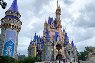 The 10 Best Ways to Be Extra Careful in Disney World Right Now.