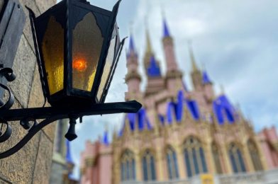 DFB Video: What Could Make Disney World Shut Down Again This Year?