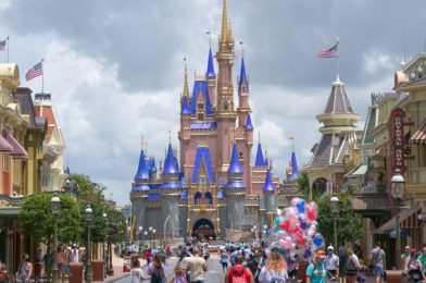 PHOTO REPORT: Magic Kingdom 7/25/20 (Large Crowds and Long Lines, Characters Galore, New Merchandise, and More)