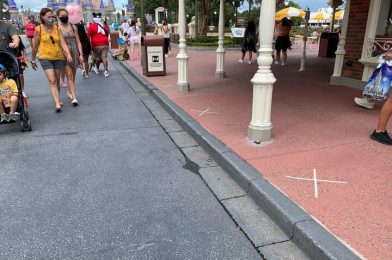 PHOTOS: Walt Disney World Testing Social Distancing Markers for Character Cavalcades