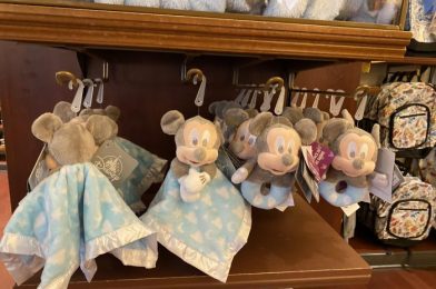 New Mickey and Minnie Disney Baby Items Bounce Into Magic Kingdom