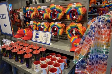 Rainbow Disney Merchandise Available at EPCOT