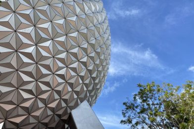 PHOTO REPORT: EPCOT 8/23/20 (Large Crowds, Long Wait Times, Mexico Pavilion at Capacity, and More)