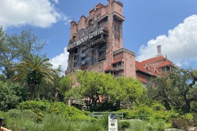 PHOTO REPORT: Disney’s Hollywood Studios 8/5/20 (Delayed Parking and Arrival Procedures, Low Wait Times, Pumpkin Cold Brew, Baby Yoda in Black Spire, and More)