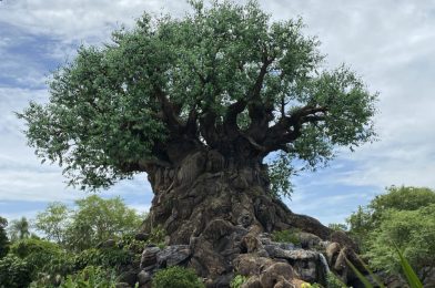 PHOTO REPORT: Disney’s Animal Kingdom 7/29/20 (Low Wait Times, Cute Disney Animals, and More)