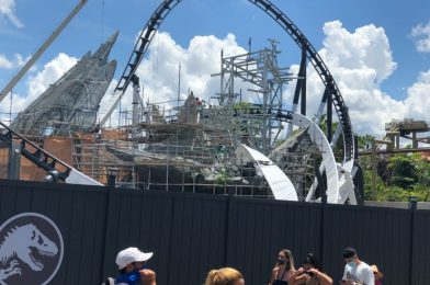 PHOTOS: Plants Added Around Rock Work, Landscape Changes Near the Lagoon, and More Updates from Unannounced Jurassic Park “Velocicoaster” at Islands of Adventure