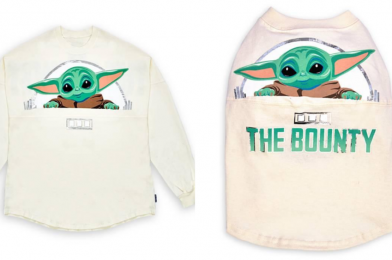 SHOP: New Baby Yoda “The Child” Spirit Jerseys For Adults and Dogs Now Available on shopDisney