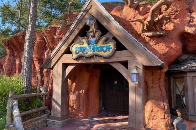 PHOTOS: Splash Mountain Briar Patch Windows Covered at the Magic Kingdom