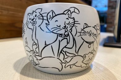 PHOTOS: New Disney Cats “I’m a Cat Person” Mug Saunters Into Walt Disney World