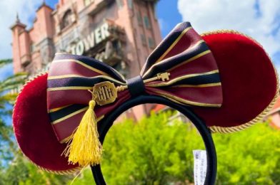 Our Jaws DROPPED When We Saw Disney’s New Tower of Terror Bellhop Dress ONLINE!