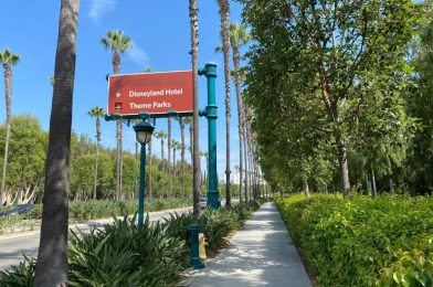 VIDEO: New Sound System (with Background Music Loop) Installed Along Parking Structure Tram Route at Disneyland Resort